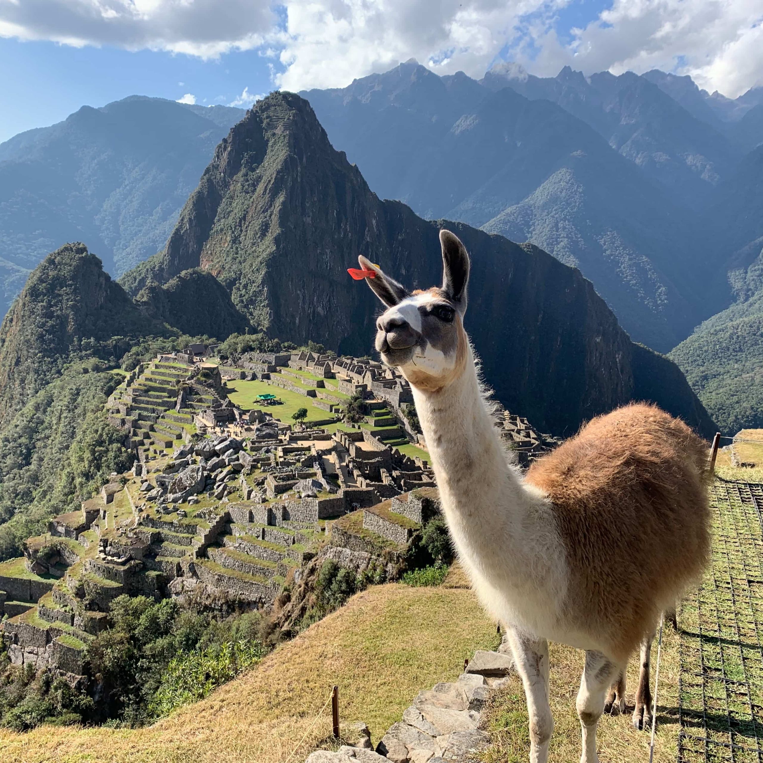 Machu Picchu Tours by local Company